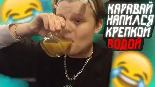 Каравай набухался/День рождение КвикХантика.