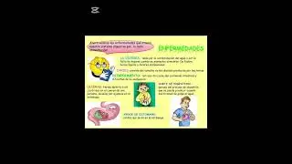 EL SISTEMA DIGESTIVO, ENFERMEDADES Y CUIDADOS - CIENCIA Y TECNOLOGÍA 6TO GRADO