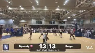 Dynasty 🌸 vs Reign