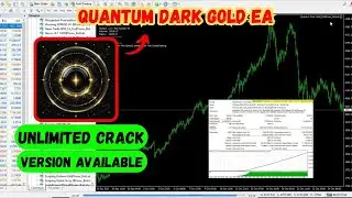 Quantum Dark Gold EA | Category : MT4 EA | No  DLL Best Forex EA Get Now In Cheap Price