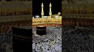Top Madinah Naat Shareef 🌹 MADINA🌹New Heart Touching Kalam 2024💚#shorts