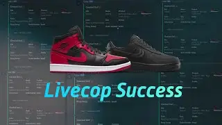 KDGS Jordan 1 Retro Banned Mid/Stussy Air Force 1 Live Cop - ValorAIO and TSB