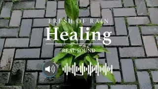SOUND OF RAIN Rain sounds that are similar to your heart rate or a little slower