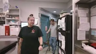 Pet Blood Banks