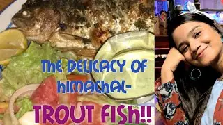 my tryst with Himachal's delicacy- the Trout fish at Johnson's cafe, Manali!!