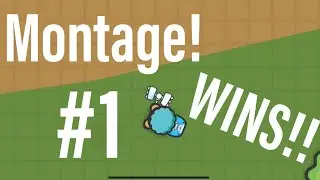 Wins Montage!! Zombs Royale.io Pro prodigy gaming