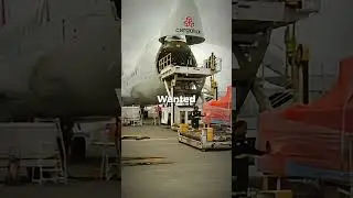 &ldquo;Why the 747 REALLY has a hump&rdquo;