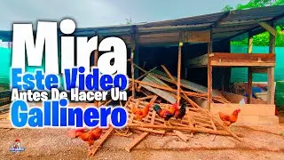 Debes Ver Este Video Antes de Hacer un Gallinero 🐔 Mi gallinero después de 4 AÑOS