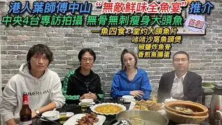 大灣區生活多面睇,香港人在中山【美食篇:無敵鮮味全魚宴】