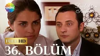 Dudaktan Kalbe 36. Bölüm (FULL HD)