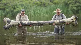 Mississippi Scientists Uncover Giant Sea Dragon Fossil