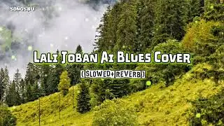 Lali Joban - Ai Blues Cover ( Slowed + Reverb ) | Nepali Old Song | Songs 4 U |