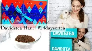 Davidstea Haul | 24 Days of Tea Advent Christmas Calendar