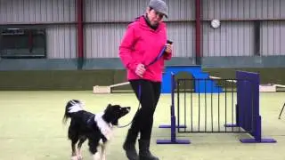 Hoe leer je jouw hond de verbale vrij aan?