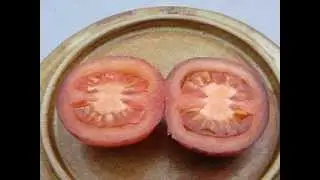The Bosque Blue Tomato Interior And Taste Test