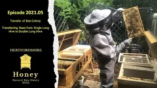 Episode: 2021.05 - Transferring Bees from Single Long Hive to Double Long Hive