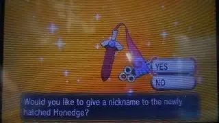 GODLY 4 IV 2nd SHINY HONEDGE HATCHES AFTER 618 EGGS!!! :D