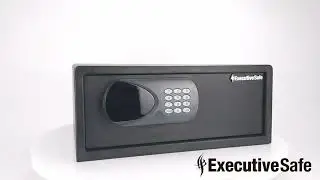 ExecutiveSafe Mini Pro Series Model ACS 4 Closed Show