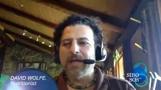 David Wolfe & Shivan Sarna SIBO SOS&trade; SUMMIT 2 : (Preview) SIBO: Remove, Replace, Repair, Reinoculate