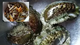 Abalone or 