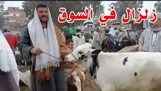 بشكل مؤقت موجة إنهيار في سوق الانيه الان بأسواق المواشي الكل ينتبه الاسعار نزلت خلاص يابخت اللي ...