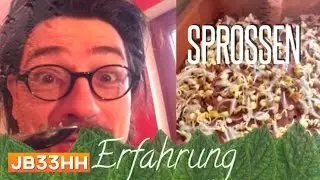 Sprossen z&uuml;chten: der erste Versuch