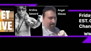 The Your Pet Detective Show!