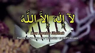 Daily Dzikir for Inner Serenity: LAILAHAILLALLAH Peaceful Dzikir