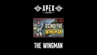 Wingman Is The Best! 💥