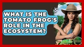 What Is The Tomato Frog's Role In The Ecosystem? - Reptilian Wonders