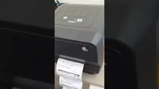 Zebra Impressora ZD220 com Barulho