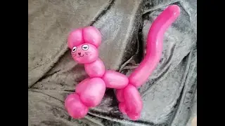 Ballon Katze, Kinderschminkfee-Petra, Ballonmodellage