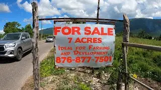 7 ACRES OF LAND FOR SALE IN SUCCESS ST.ELIZABETH #JAMAICA 2024
