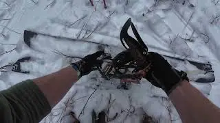 Bear Canyon 12/1