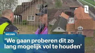 Bezetting hoeve Susteren duurt voort | L1Nieuws