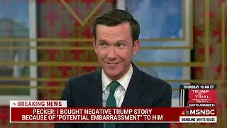 Lisa Rubin explains funniest part of David Pecker testimony at Trump trial