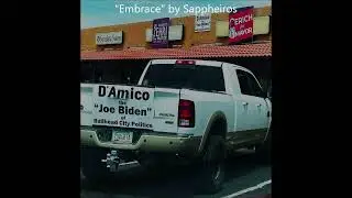 Steve D'Amico  - The  