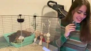 Secret Lives of SFSU Pets