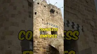 Citadel Aleppo Citadel Egypt #history #shorts