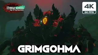 Hyrule Warriors Age of Imprisonment - Archfiend Grimgohma Boss Fight (4K 60FPS)