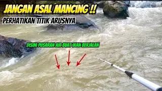 Kondisi yang tepat di saat mancing ,akhirnya ketemu juga titik ikannya