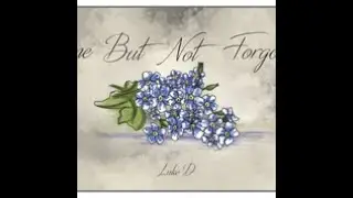 Gone But Not Forgotten - Luke D.