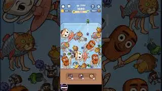 i beat max high score 999+ in merge drop game challenge