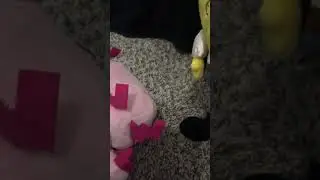 SpongeBob with his friends 