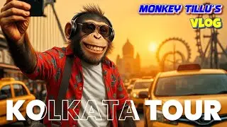 AI Monkey Vlogs Kolkata | Street Food, Crowd Reactions & Dada Boudi Biryani | #comedy #aivideo