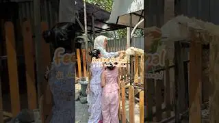 Bukan Hotel BIASA! bisa Feeding Animal dengan banyak HEWAN... #feedingtime #animals #hotel #jogja