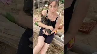 When they were told not to play with any stray animal #cambodia #travel #angkorwat #siemreap