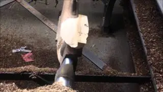 Carving XP - 100 Rear grips (Pistol Stocks)