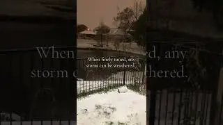 FindingYourFrequencyInTheStorm❄️✨#EnergyAttunement #WellnessCompanion #WinterStormFern #InnerTuning