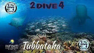 Brotherdive 2019 - Diving Tubbataha reefs - Philippines (Short version)